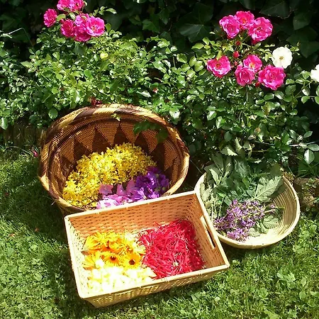 Waldhaeusl Sankt Martin bei Lofer