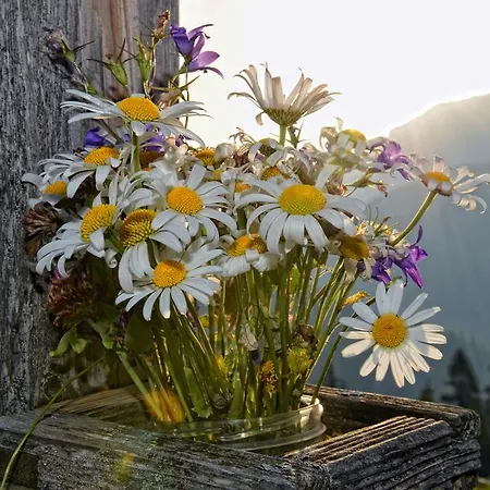 Апартаменты Waldhaeusl