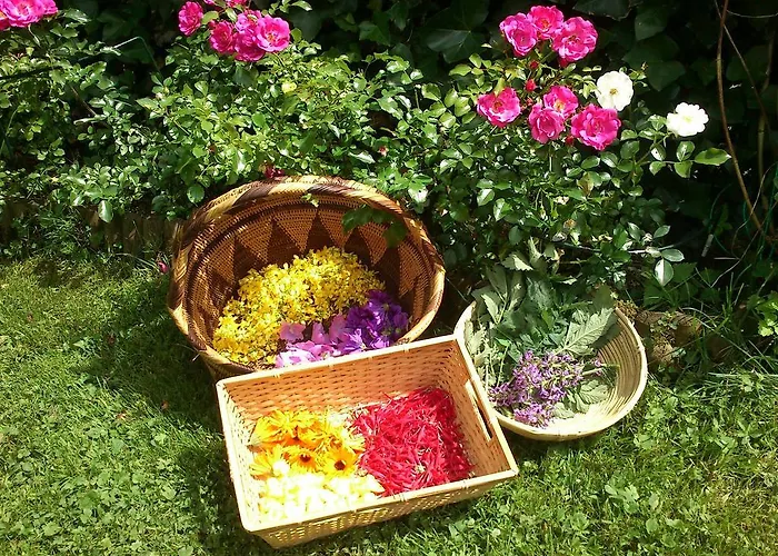 Waldhaeusl Sankt Martin bei Lofer