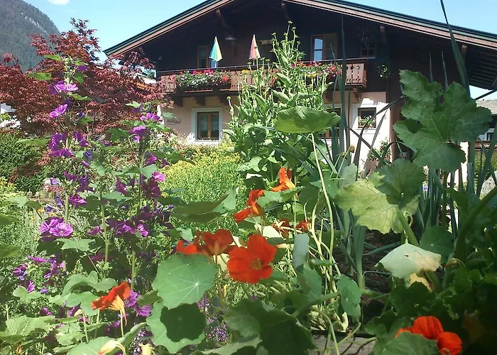 Lejlighed Waldhaeusl *