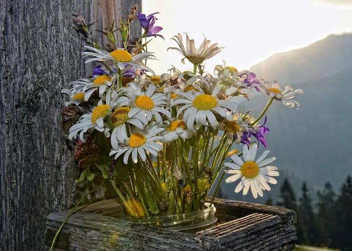 Lejlighed Waldhaeusl